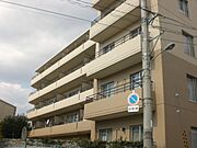 緑丘パーク・マンション 2階 築43年5ヶ月の賃貸物件