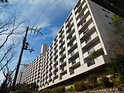 桃山台駅より徒歩7分 11階 築54年7ヶ月の賃貸物件