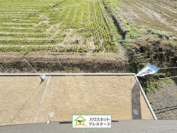 庭(2025年10月撮影)