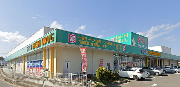 ハシドラッグ信陵店