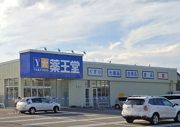 薬王堂福島太平寺店