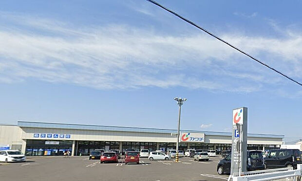 カワチ薬品大槻店