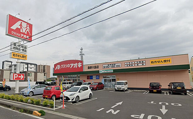 クスリのアオキ桑野大島店