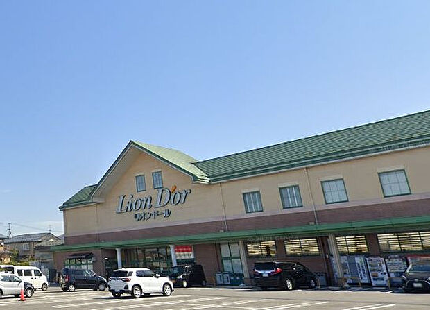 リオン・ドール滝沢店