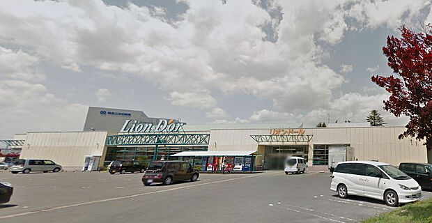 リオンドール 鏡石店