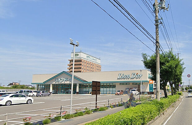 リオン・ドール千石店