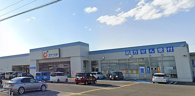 カワチ薬品 笹谷店