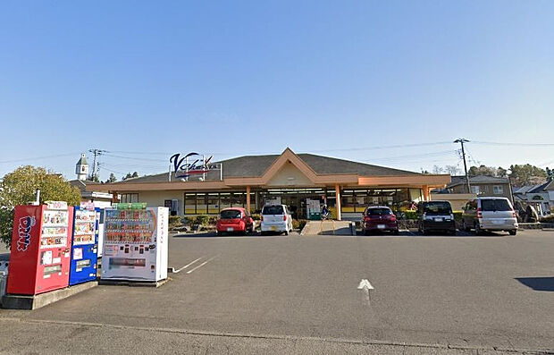 ブイチェーン向陽町店