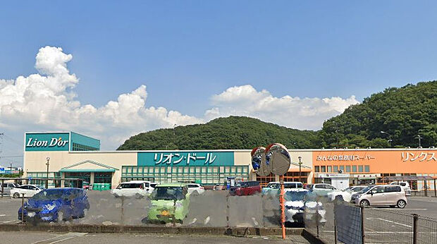 リオン・ドール結城店