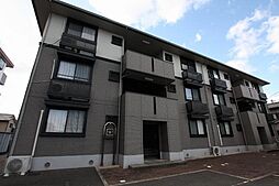 ハイカムール川口