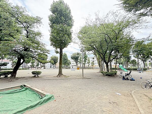 住吉西公園（10m）
