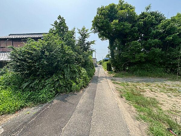 外観：324000030227