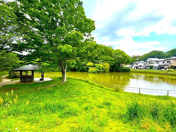 宮崎ヒルズ近くにはみどりと池が調和した「日本池公園」があります。自然あふれるロケーションは日々の暮らしに落ち着きを与えます。公園には散歩道もあり、ご家族や、お子様、ペットとのお散歩に♪