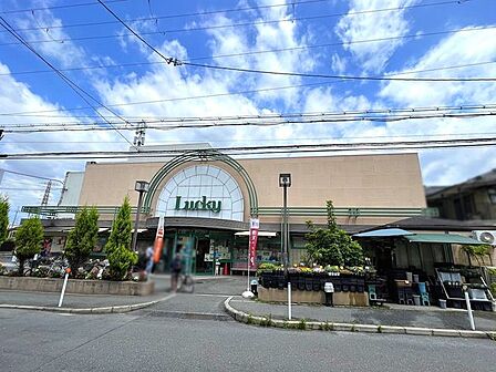 ラッキー交野店 800m