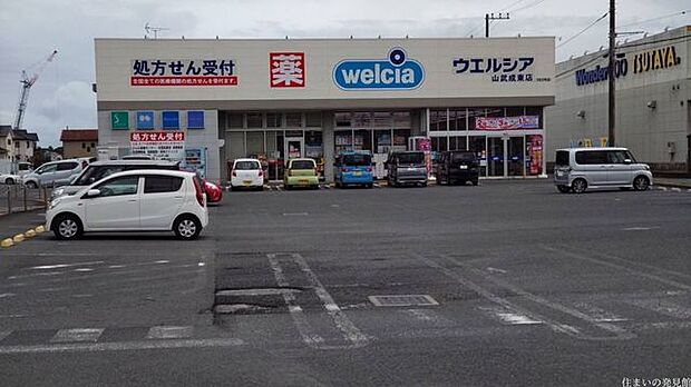 ウエルシア山武成東店 徒歩3分。 190m