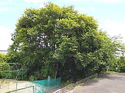 愛知県豊明市阿野町北上ノ山