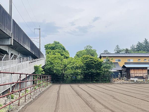 現地写真