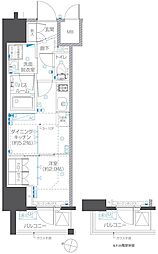 ZOOM本郷 11階/1102