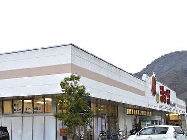 スーパー 600m ショージみどり坂店