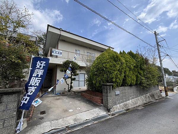 外観：334000238118