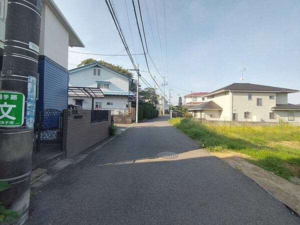 南東側　幅員約4.6mの公道に接す