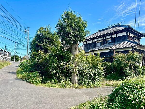 外観：312001200724