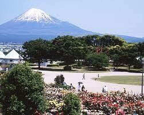 富士市中央公園 3620m