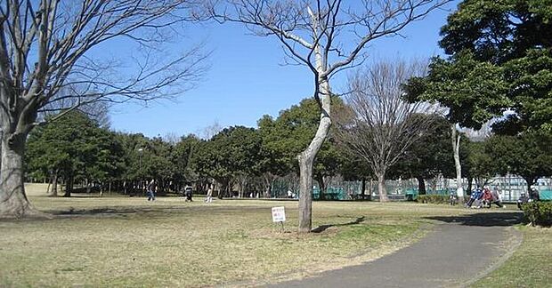 大岡公園 1220m
