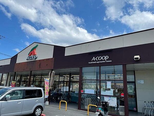 エーコープ玉手店 徒歩9分。 710m