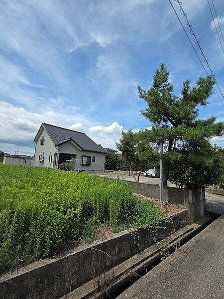 前面道路から