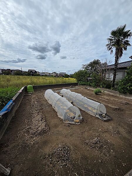 家の裏にある大き目の畑です。