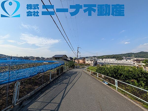 周辺道路