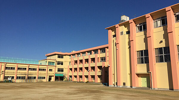 柏原市立国分小学校