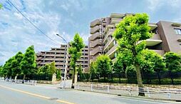 PET可・高根公団10分 ダイアパレス高根台