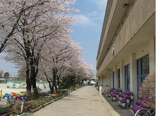 船橋市立大穴小学校 730m