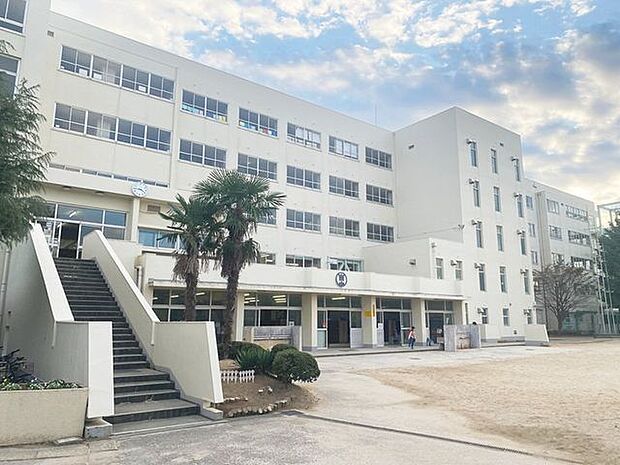 薬円台南小学校 330m