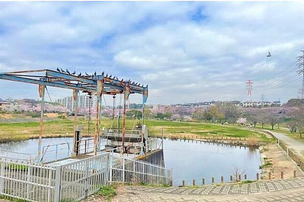 長津川ふれあい広場 1050m