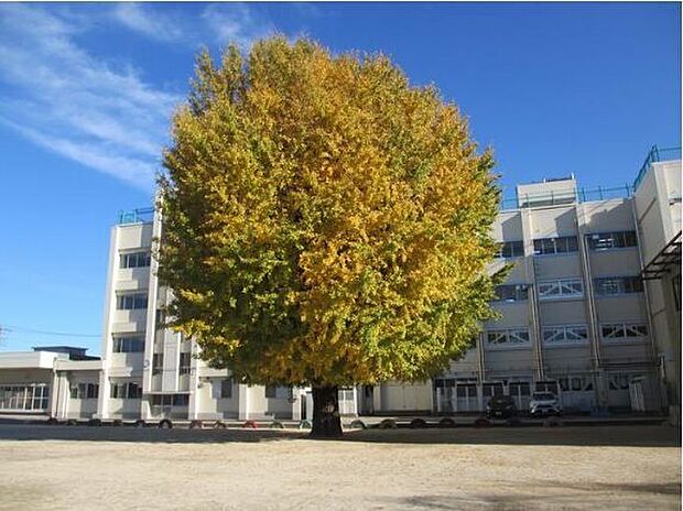 船橋市立塚田小学校 1250m