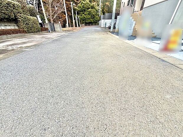 前面道路含む現地写真