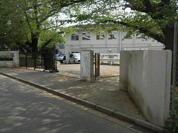 船橋中学校 540m