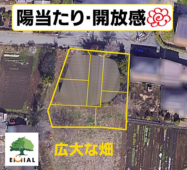 外観：311002490090