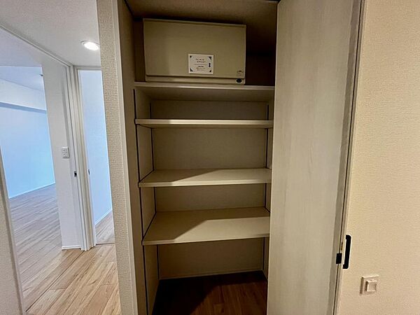 洗剤やタオル類をしっかり収納できる可動棚付き収納スペース。