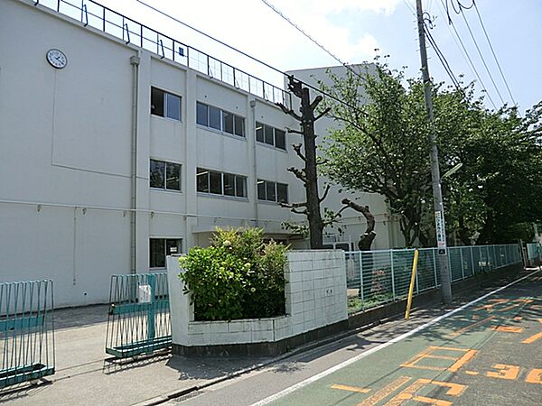 山野小学校