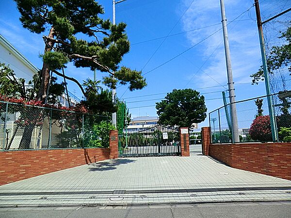 緑丘中学校