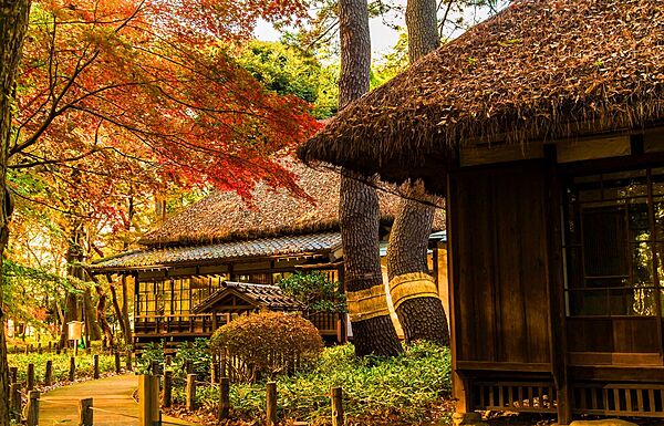 蘆花恒春園