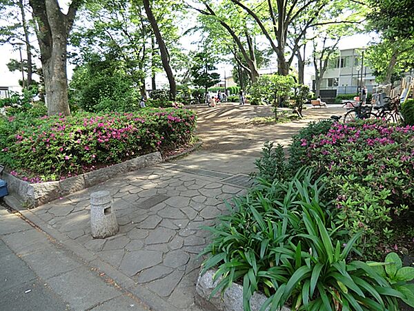 世田谷新町公園