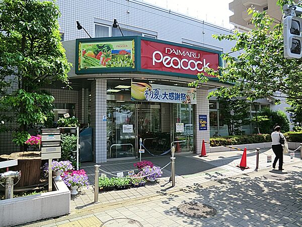 大丸ピーコック桜新町店