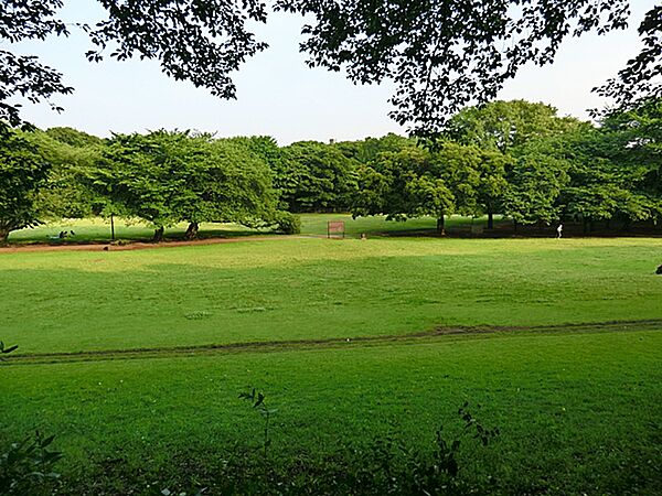 砧公園