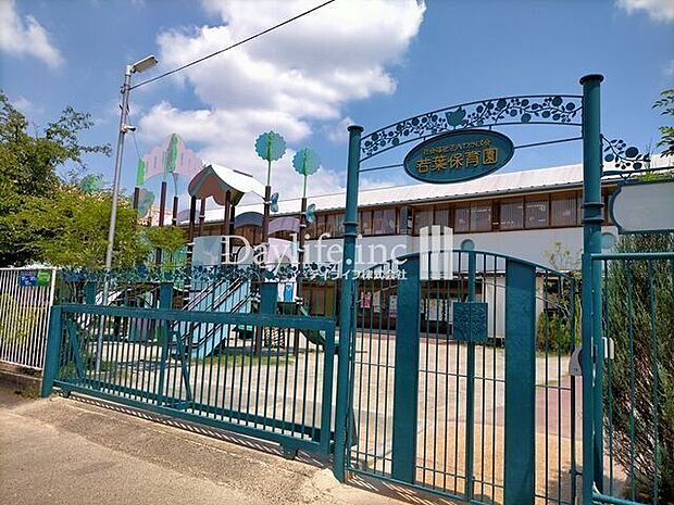 若葉保育園 800m