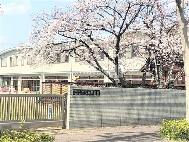 こじか幼稚園 1100m